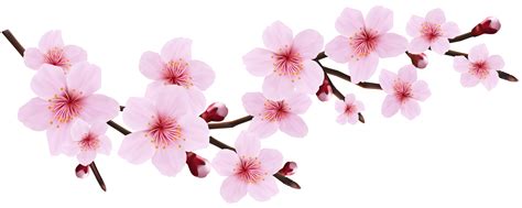 Isolated realistic pink petals, blossom, branches, leaves vector set. . Clip art cherry blossom
